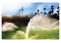 automatic timed sprinkler system